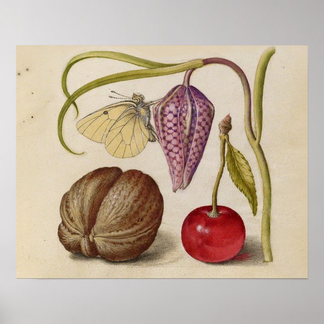 Butterfly Walnut Blume Cherry Wasserfarbe Kunst Poster (Vorne)