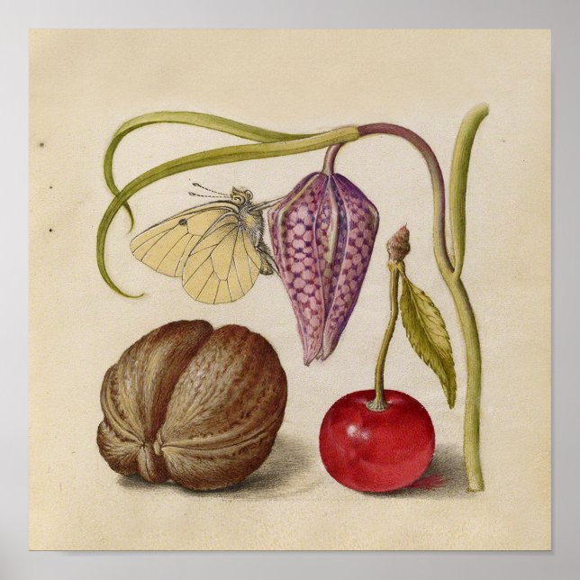 Butterfly Walnut Blume Cherry Wasserfarbe Kunst Poster (Vorne)