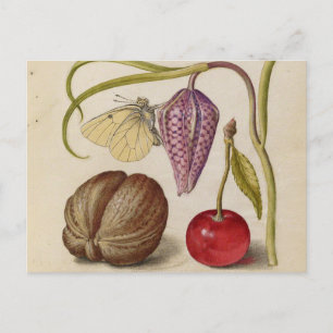 Butterfly Walnut Blume Cherry Wasserfarbe Kunst Postkarte