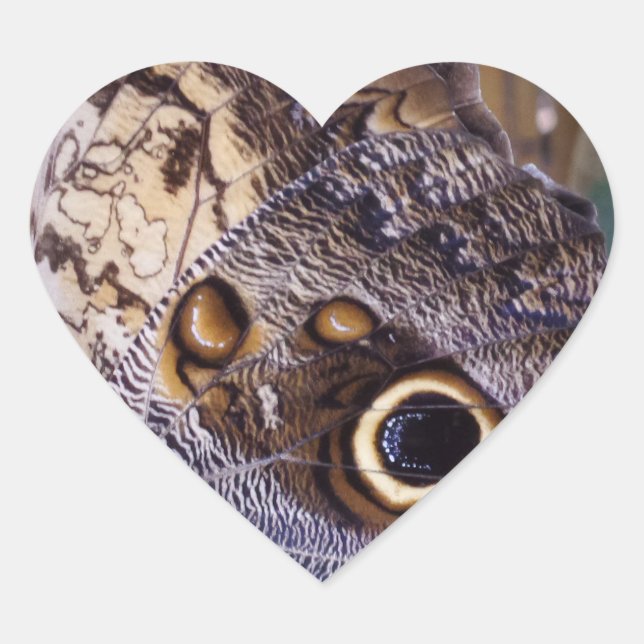 Butterfly Wing Heart Sticker (Vorderseite)