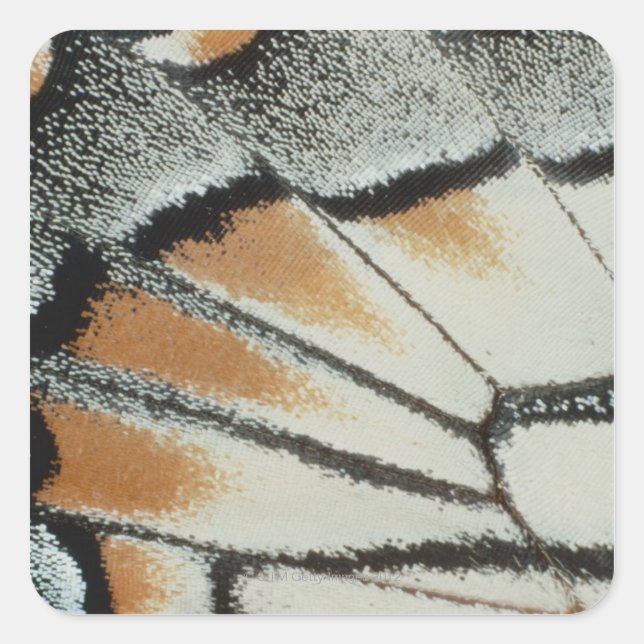 Butterfly Wing Quadratischer Aufkleber (Vorderseite)