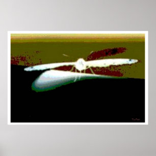 Butterfly Wings Abstrakt Poster