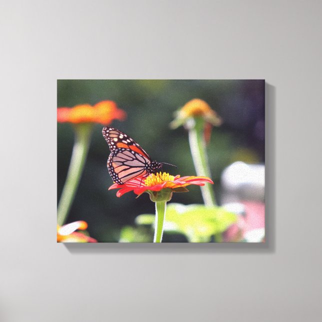 Butterfly Wrapped Canvas Leinwanddruck (Vorderseite)