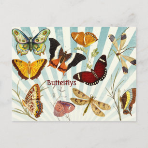 Butterflys Postkarte
