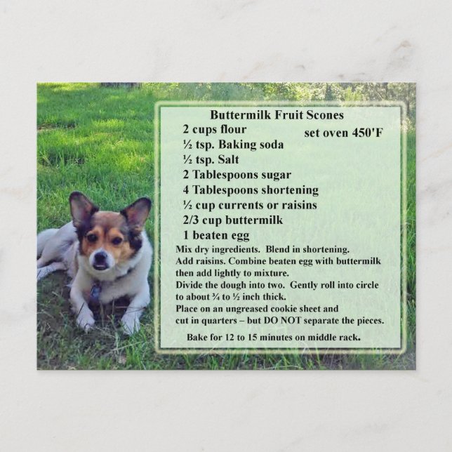 Buttermilch Fruchtsäfte Rezept Postkarte (Vorderseite)