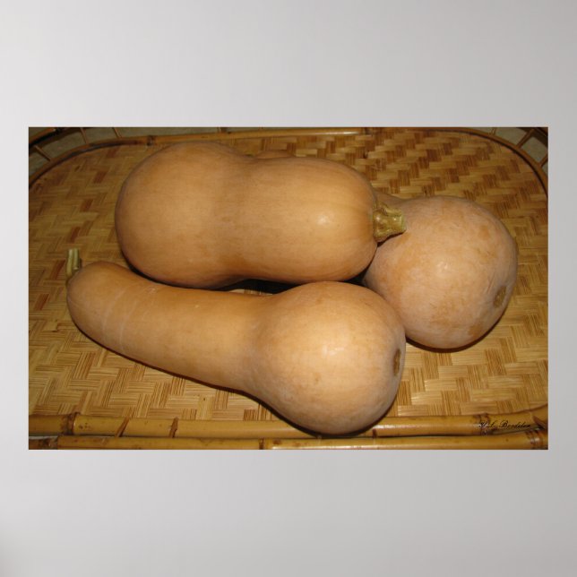 Butternut Squash Poster (Vorne)