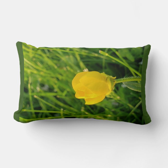 Butterschale Lendenkissen (Vorderseite)