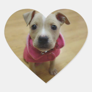 Buttertasse Herz-Aufkleber