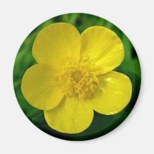 Buttertasse Magnet