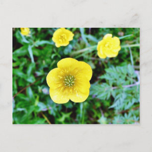 Buttertasse Postkarte