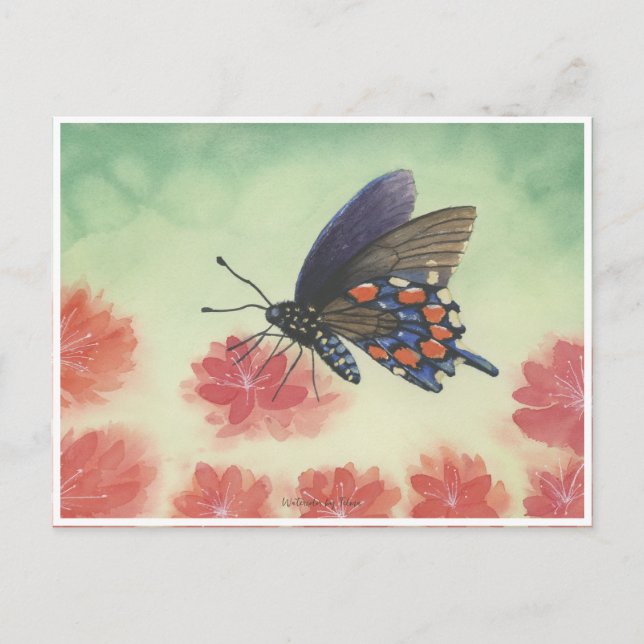 Buttlerfarbe Postkarte (Vorderseite)