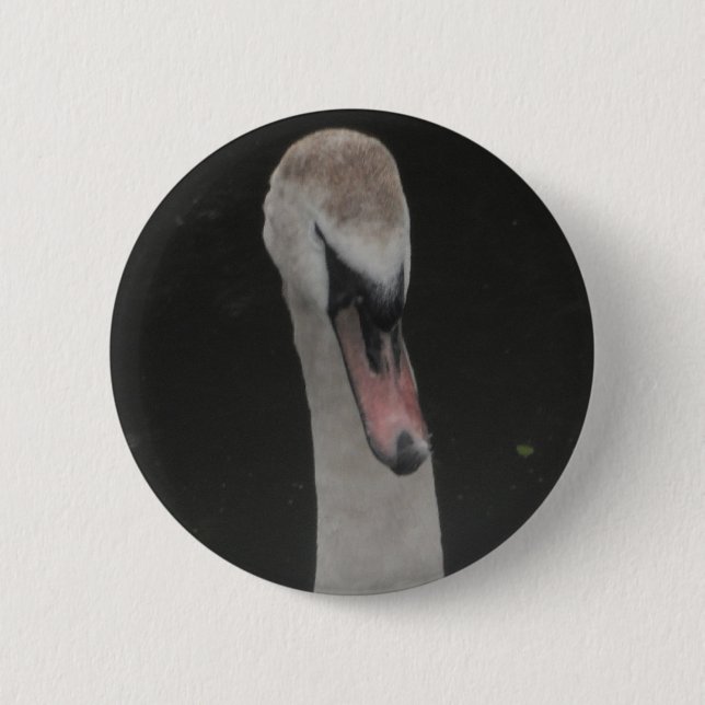Button Baby Swan Face (Vorderseite)
