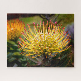 Button Cushion Protea Blume auf Maui Puzzle