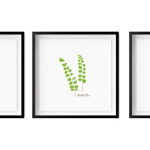 Button Fern Illustration   Fern-Serie Poster