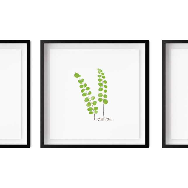 Button Fern Illustration | Fern-Serie Poster (Von Creator hochgeladen)