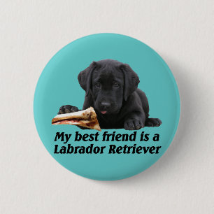 Button "Labrador retriever "