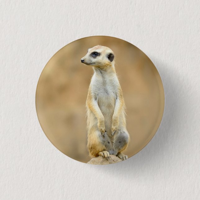 Button mit Meerkat auf Wache (Vorderseite)