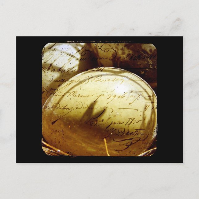 Button Quail Eggs Postkarte (Vorderseite)