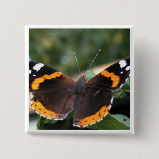 Button roten Admiral-Schmetterling
