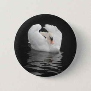 Button Swan Schwimmen