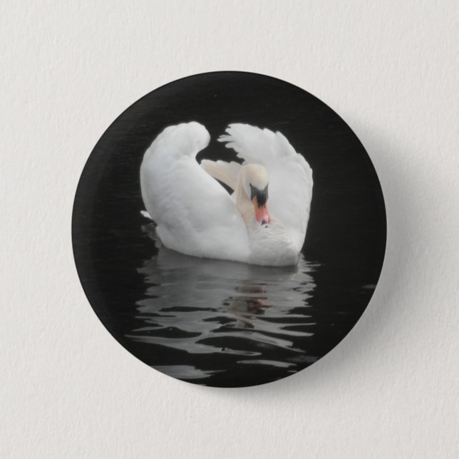 Button Swan Schwimmen (Vorderseite)