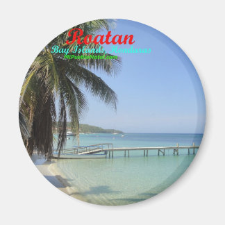 Buttons in Roatan, Bay Islands, Honduras Magnet