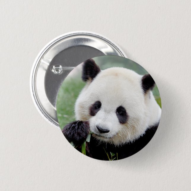 Buttons riesige Panda. Panda Geant. (Vorne & Hinten)