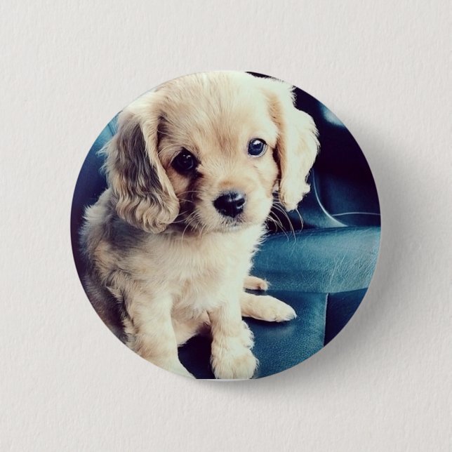 Buttonz oben! button (Vorderseite)