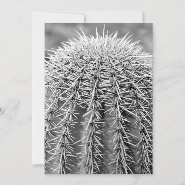 Buzz Cut Cactus (AZ Sonoran Desert) Einladung (Vorderseite)