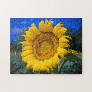 Buzz the Bee in Sunflower Puzzle