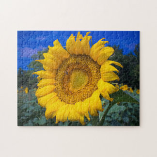 Buzz the Bee in Sunflower Puzzle