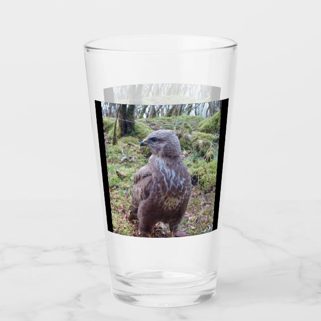 Buzzard Blick nach rechts Glas (Vorderseite)