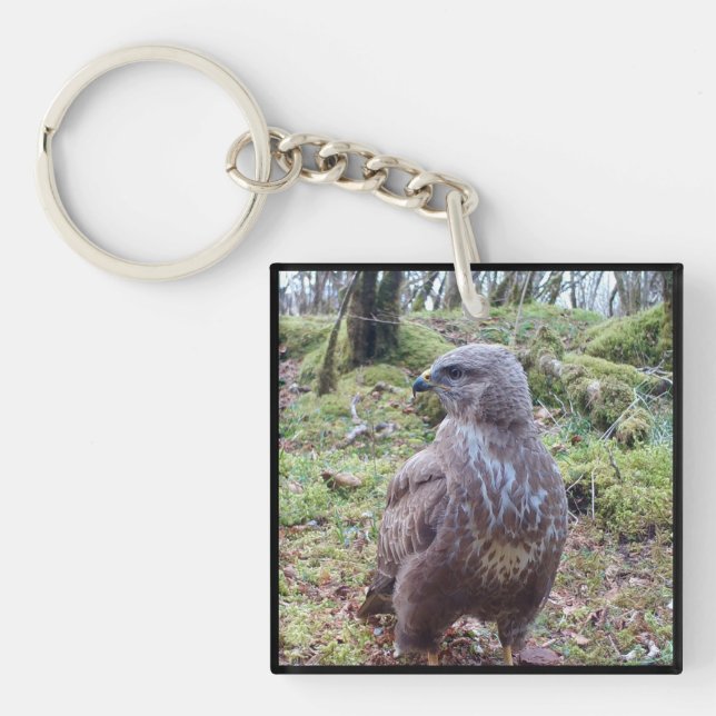 Buzzard mit Blick auf den rechten Schlüsselring (Vorderseite)