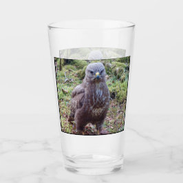 Buzzard mit Höhenlage Glas