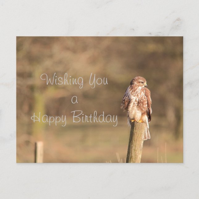 Buzzard Postkarte (Vorderseite)