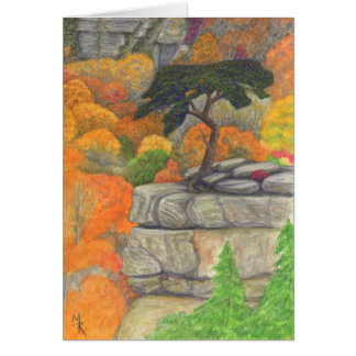 Buzzard's Roost - Fall Creek Falls Staat Park