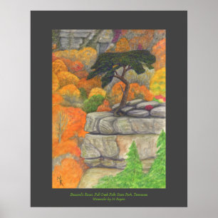 Buzzard's Roost - Fall Creek Falls Staat Park Poster
