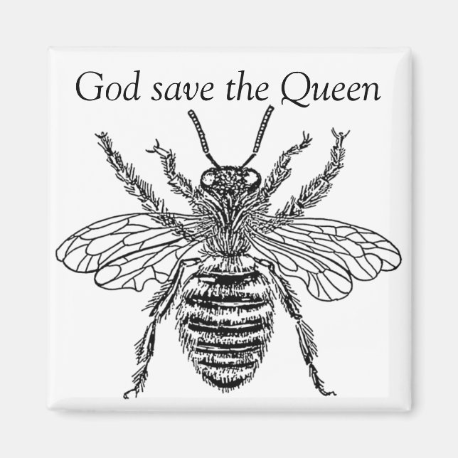 buzzart queen bee magnet (Vorne)