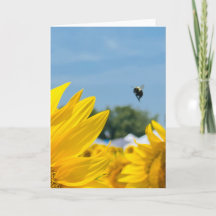 BuZZy Bee Foto Blank Grußkarte/Note Card