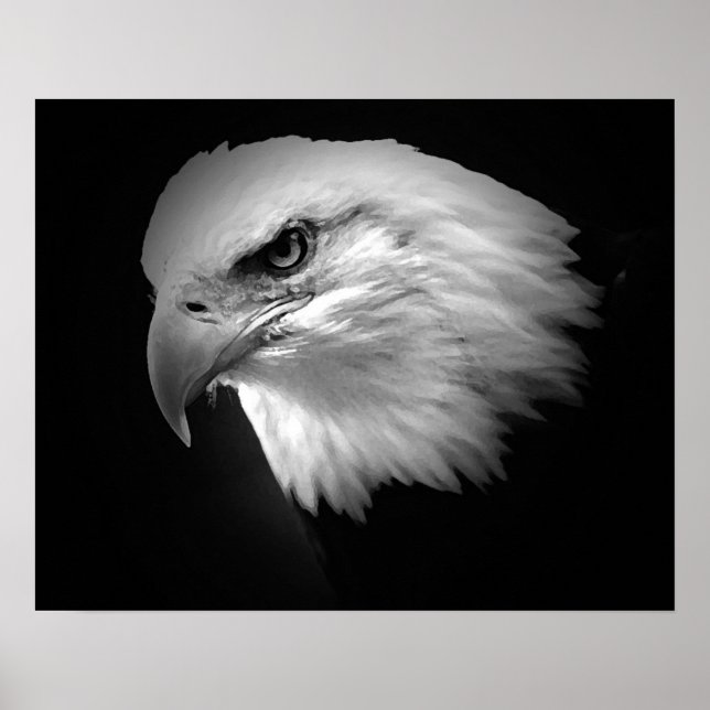 BW American Bald Eagle Poster Print Eagles Posters (Vorne)