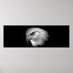 BW American Bald Eagle Print - Panoramabilder Poster