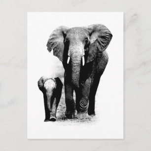 BW Elephant & Baby Elephant Postkarte
