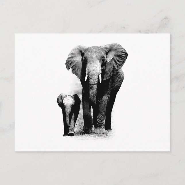 BW Elephant & Baby Elephant Postkarte (Vorderseite)