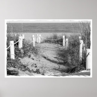 BW Fort Pierce, Florida Strandspaziergang Düne abs Poster