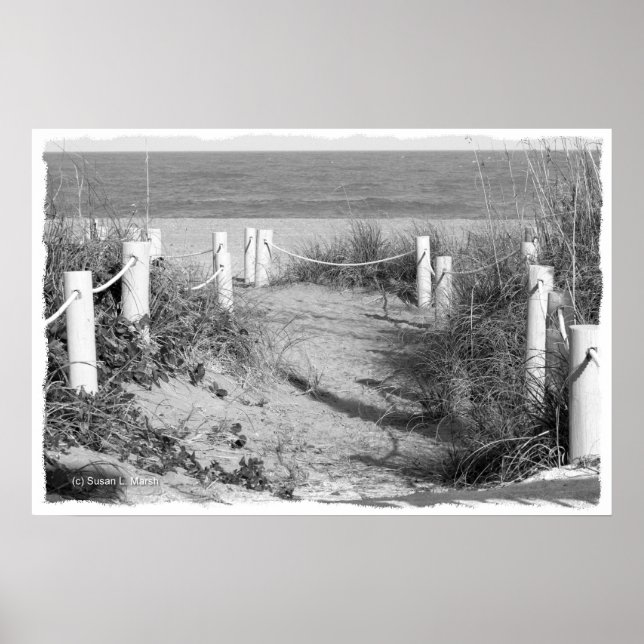 BW Fort Pierce, Florida Strandspaziergang Düne abs Poster (Vorne)