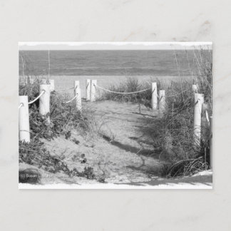 BW Fort Pierce, Florida Strandspaziergang Düne abs Postkarte