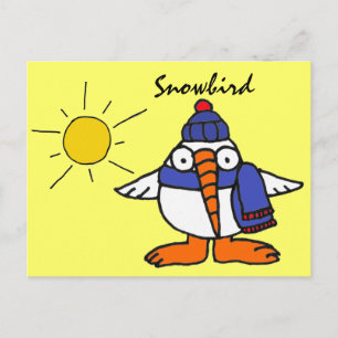 BW-Funny Snowbird Postcard Postkarte