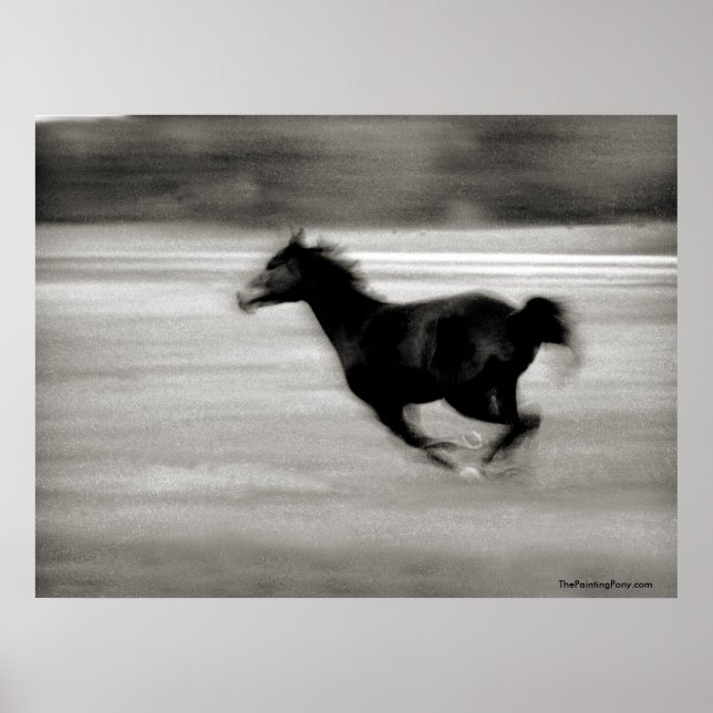 BW Galloping Pferd Poster (Vorne)