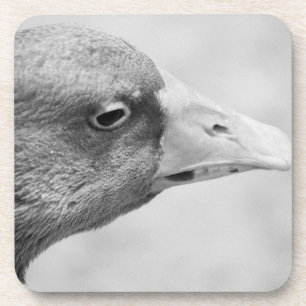 BW Goose Getränkeuntersetzer