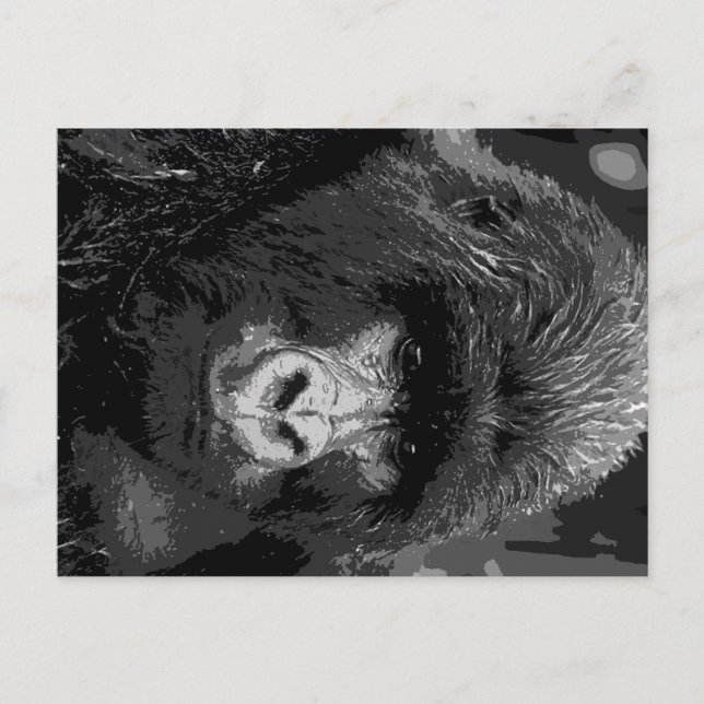 BW Gorilla Face Postkarte (Vorderseite)